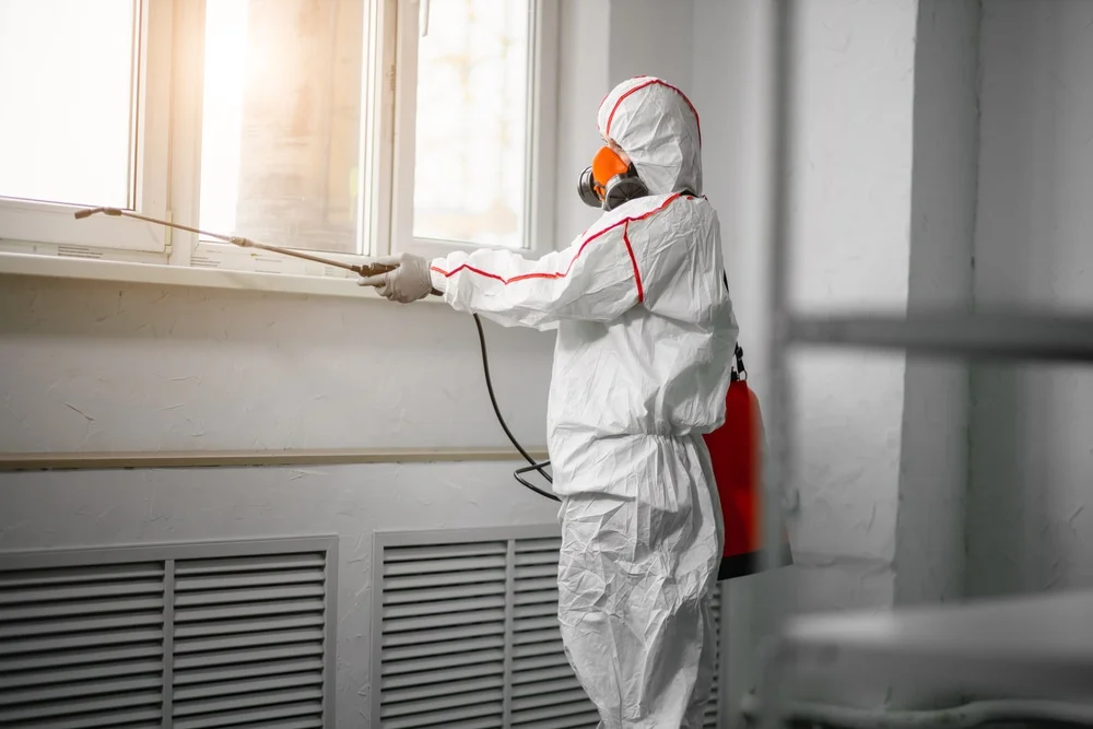 Professional mold remediation services in Beech Grove, IN